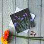 Lavender And Cornflowers Greetings Card, thumbnail 2 of 2