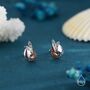 Nautilus Shell Stud Earrings In Sterling Silver, thumbnail 6 of 12