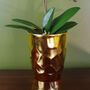 White Artificial Orchid Plant Gold Pot 54cm Real Touch, thumbnail 3 of 4
