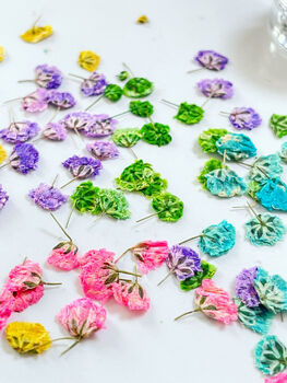 Heart Earrings With Colourful Gypsophila Flowers, 3 of 11