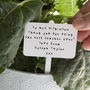 Thank You Teacher Personalised Plant Marker, thumbnail 1 of 6
