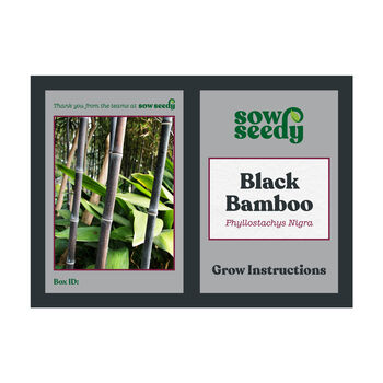 Black Bamboo Grow Kit, 5 of 5