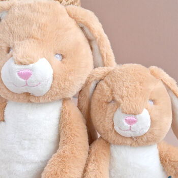 Personalised Eco Bunny Soft Toy, 2 of 2