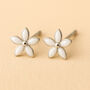 Girls Sterling Silver White Daisy Flower Stud Earrings, thumbnail 1 of 6