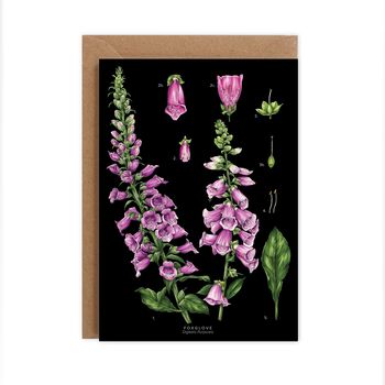 Botanical Foxglove Card, 2 of 2