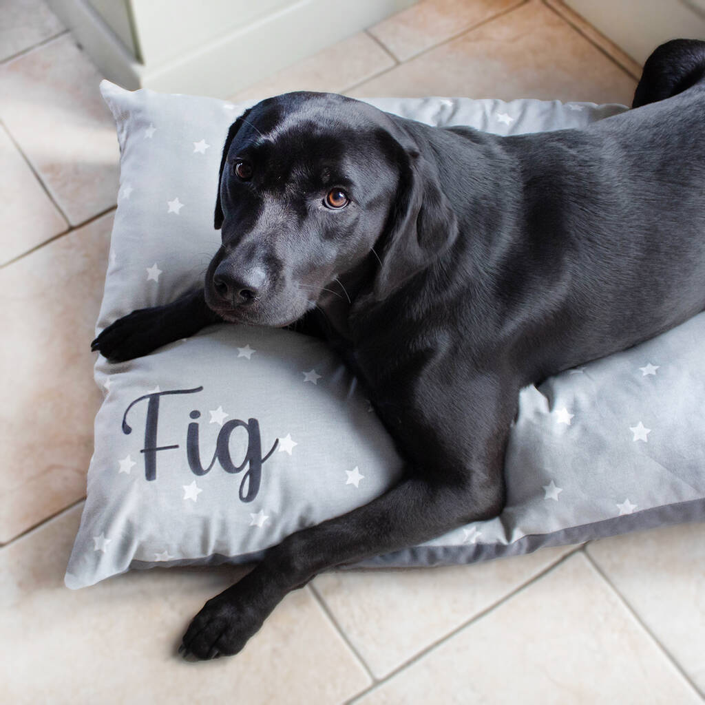 Personalised Large Grey Star Dog Bed, 1 of 2