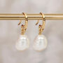 Yellow Gold Plated White Freshwater Pearl Drop Earrings, thumbnail 1 of 7