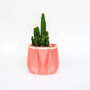 Origami Self Watering Eco Plant Pot: 10cm | Coral, thumbnail 6 of 8
