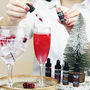 Winter Flavour Sparkle Drops For Gin And Prosecco, thumbnail 1 of 10
