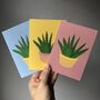 Set Of Six Mixed Design Aloe Vera Print Notecards, thumbnail 5 of 5