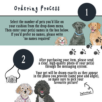 Custom Pet Portrait Cushion Beach Background, 2 of 6