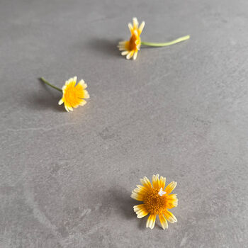 Small Joys Butterfly Earrings – Sterling Silver Gift For Her, 4 of 12