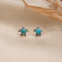 Gili Sea Turtle Turquoise Silver Stud Earrings, thumbnail 1 of 12