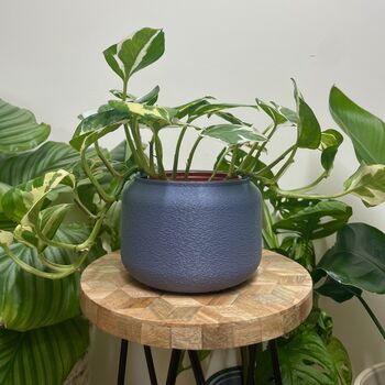 Textured Plant Pot 3D Printed, 4 of 7