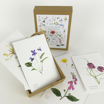 British Wild Flower Postcard Box, 2 of 4