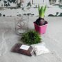 Grow Me: Gift Box Of Scented Hyacinth Bulb And Vase, thumbnail 6 of 6