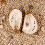 A4 Wedding Vows Shell Print, thumbnail 3 of 3