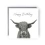 Cute Highland Cow Birthday Card, thumbnail 1 of 4