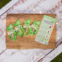 Herb Garden Seedcell Selection Box, thumbnail 4 of 10