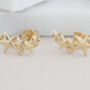 Multi Star Stud Earrings In Silver Or Gold Vermeil, thumbnail 2 of 6