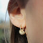 Solid Gold Ammonite Hoops, thumbnail 4 of 4