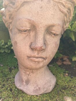 25cm Stone Ladies Head Bust Planter – Heavy Roman Style, 2 of 7