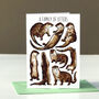 Wildlife Collective Nouns Greetings Card Pack, thumbnail 4 of 11