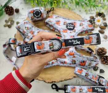 Little Pumpkin Bear Cub Dog Collar, 4 of 8