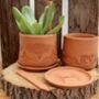 Indian Block Terracotta Planter And Drip Tray, thumbnail 5 of 5