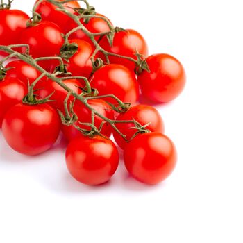 Tomato Plants 'Sweet Aperitif' 3x Plants 9cm Pots, 11 of 12