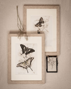 Framed Pair Of Vintage Butterfly Art Prints In Sand Frames, 5 of 10