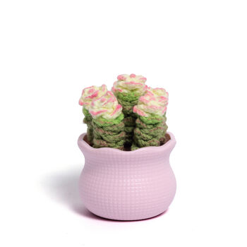 Tranquil Crochet Succulent Plants, 6 of 12
