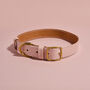 Luxury Leather Dog Collar, thumbnail 9 of 12