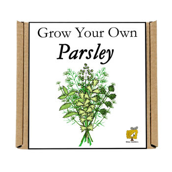 Gardening Gift. Grow Your Own Herbs. Parsley Seeds Kit, 4 of 4