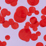 Red Wedding Confetti | Biodegradable Paper Confetti, thumbnail 5 of 6
