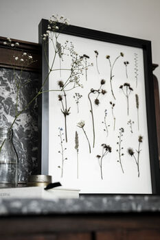 Original Pressed Flower Frame – Field Notes Botanical Wall Art A3, 2 of 8