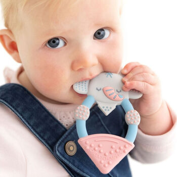 Teething Toy Pack Darcy The Elephant, 3 of 8