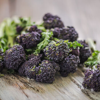 Purple Sprouting Broccoli Six X Plug Plant Pack, 2 of 6