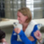 English Wine And Cheese Tour With Travel From London, thumbnail 5 of 7