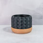 Carbon Hexa Planter, thumbnail 2 of 4