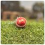Personalised Vintage Miniature Cricket Ball Keyring, thumbnail 12 of 12