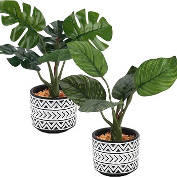 Pack Of Two Artificial Plants In Ceramic Pot, 7 of 8