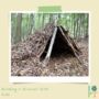 Children's Eco Activity Box: The Secret Life Of Birds, thumbnail 10 of 11