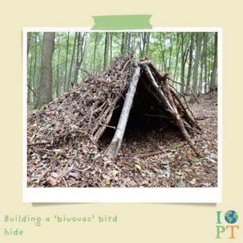 Children's Eco Activity Box: The Secret Life Of Birds, 10 of 11