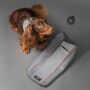 Dog Fleece Coat, Harness And Engraved ID Tag Set, thumbnail 5 of 7
