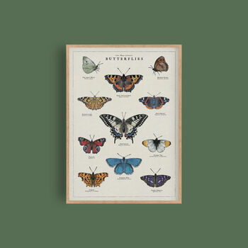 British Butterfly Art Poster, 2 of 10