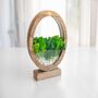 Round Wood Table Lamp With Preserved Moss, thumbnail 8 of 12