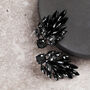 Black And Grey Toned Crystal Leaf Drop Earrings, thumbnail 4 of 4