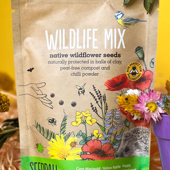 Wildflower Seed Scatter Packets – 100 Seed Balls – Perfect Gift For Garden Lovers, 5 of 12