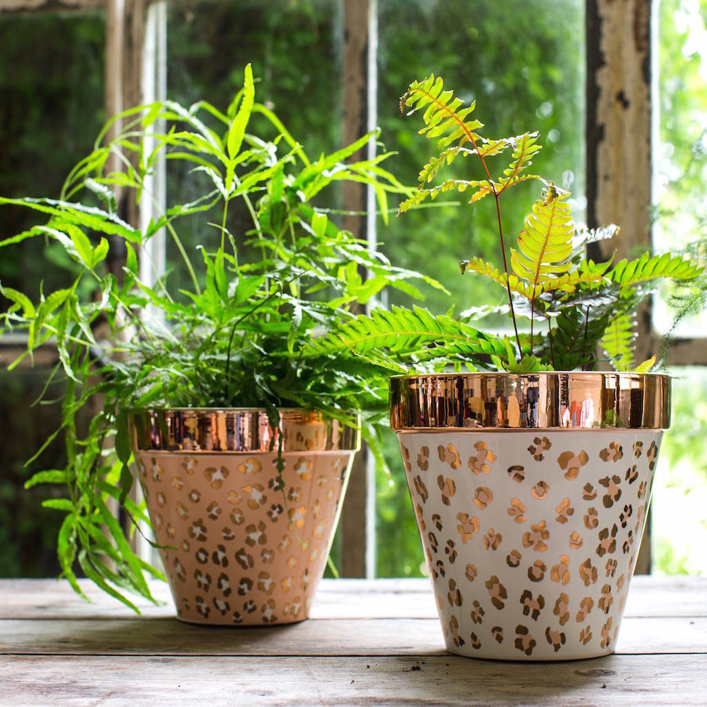 Pots and Planters: Garden Pots, Garden Planters - pots and 